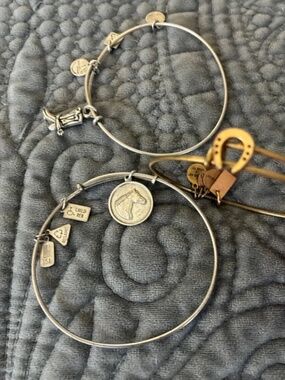 Set of Three Adjustable Alex and Ani Equestrian Charm Bangles